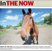 Photo of the Day In The Now  newspaper